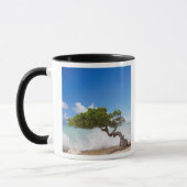 Mug Arbre Divi Divi, Eagle Beach, Aruba, Caraïbes (Gauche)