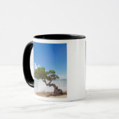 Mug Arbre Divi Divi, Eagle Beach, Aruba, Caraïbes (Devant gauche)