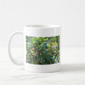 Mug Arbre, Italie (Gauche)