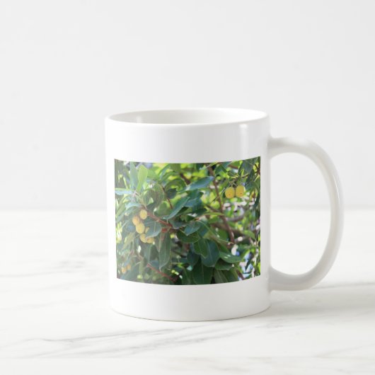 Mug Arbre, Italie (Droite)