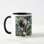 Mug Arbre Mango (Gauche)