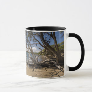Mug Arbre sur une plage le long du littoral