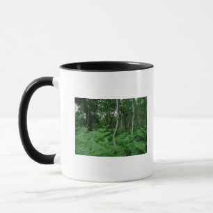 Mug Arbres de bouleau argenté et fougères, forêt de