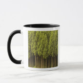 Mug Arbres de cèdre de Koya Sugi (Gauche)