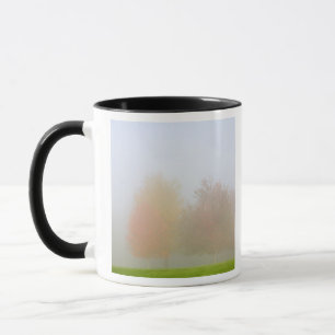 Mug Arbres de chute enveloppés en brume