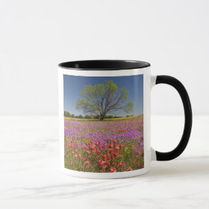 Mug Arbres de prosopis du printemps poussant dans des