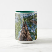 Mug Arbres de séquoia | Comté de Marin, Californie (Centre)
