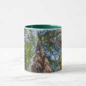 Mug Arbres de séquoia | Comté de Marin, Californie (Centre)