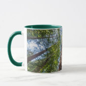 Mug Arbres de séquoia | Comté de Marin, Californie (Gauche)