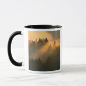 Mug Arbres de séquoia dans le brouillard côtier, comté (Gauche)
