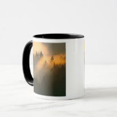 Mug Arbres de séquoia dans le brouillard côtier, comté (Devant gauche)