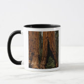 Mug Arbres de séquoia, Parc national de Sequoia. (Gauche)