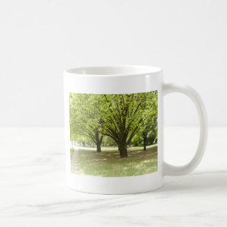 Mug Arbres d'ombrage