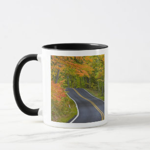 Mug Arbres érables colorés en automne bordant un paysa