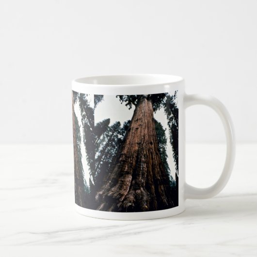 Mug Arbres géants - parc national de séquoia (Droite)