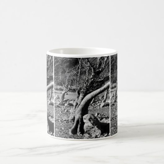 MUG ARBRES NOIRS ET BLANCS (Centre)