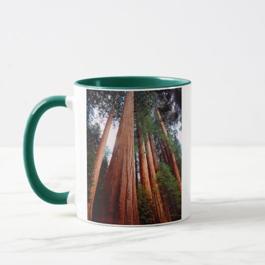 Mug Arbres séquoias géants à feuilles persistantes (Gauche)