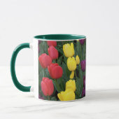 Mug Arc-en-ciel de tulipe (Gauche)