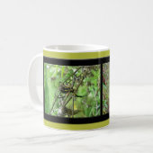 Mug Argiope trifasciata Orb Weaver Spider (Devant gauche)