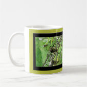 Mug Argiope trifasciata Orb Weaver Spider (Gauche)