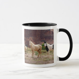 Mug Arizona, réserve indienne navajo, Chinle,