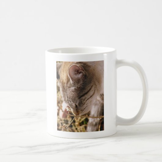 Mug Arrêtez et sentez les fleurs (Droite)
