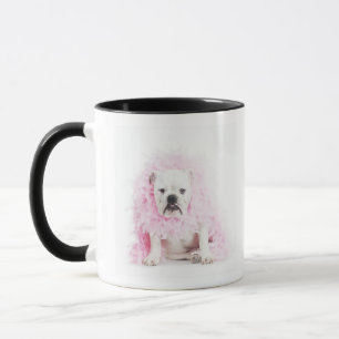 Mug arrière - plan blanc, bouledogue blanc, plume ros