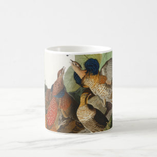 Mug Art de la nature de l'oiseau Tétras à queue fine d
