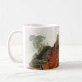 Mug Art de la nature de l'oiseau Tétras à queue fine d (Gauche)