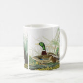 Mug Art Vintage Audubon Canard colvert Faune (Devant droit)