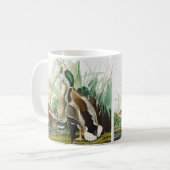Mug Art Vintage Audubon Canard colvert Faune (Devant gauche)
