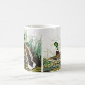 Mug Art Vintage Audubon Canard colvert Faune (Centre)