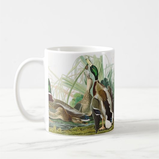 Mug Art Vintage Audubon Canard colvert Faune (Gauche)
