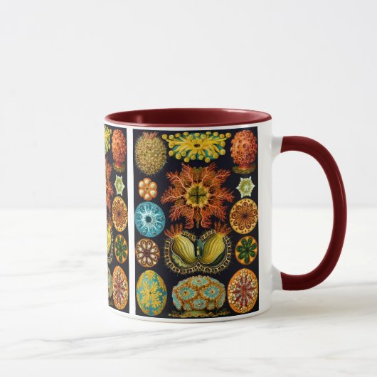 Mug Ascidiacea (Equipes de mer), Ernst Haeckel Fine Ar (Droite)