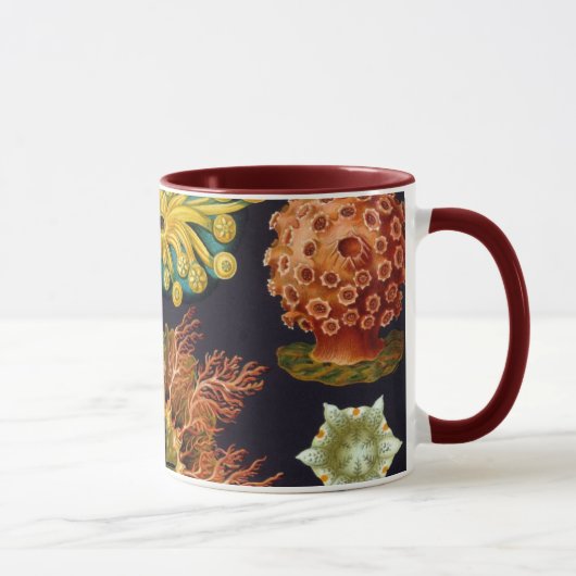 Mug Ascidiae par Ernst Haeckel, Animaux marins Vintage (Droite)