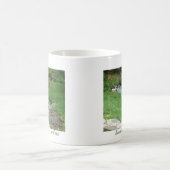 Mug Asheville, la Caroline du Nord (Centre)