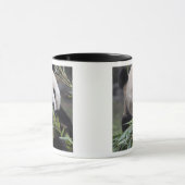 Mug Asie, Chine Chongqing. Panda géant (Centre)