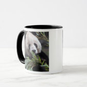 Mug Asie, Chine Chongqing. Panda géant (Devant gauche)