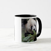 Mug Asie, Chine Chongqing. Panda géant (Devant droit)