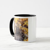 Mug Asie, Japon, Bouddha (Devant gauche)