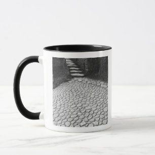 Mug Asie, Japon, Hiroshima. Détail de Shukkei, en
