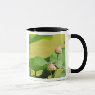 Mug Asie, Thaïlande, Bangkok. Grand Palais, lotus