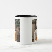 Mug Asie, Thaïlande, Siam, Bouddha à Ayutthaya (Centre)