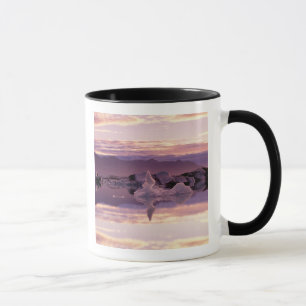 Mug Atlantique Nord, Islande, Breioamerkurjokull
