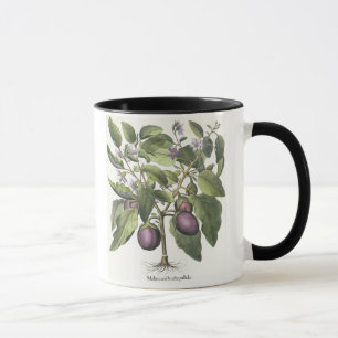 Mug Aubergine : Pallido de fructu de Melanzana, du