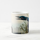 Mug Audubon Bird Loon Diver Classic (Centre)