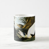 Mug Audubon : Canard d'Eider (Centre)