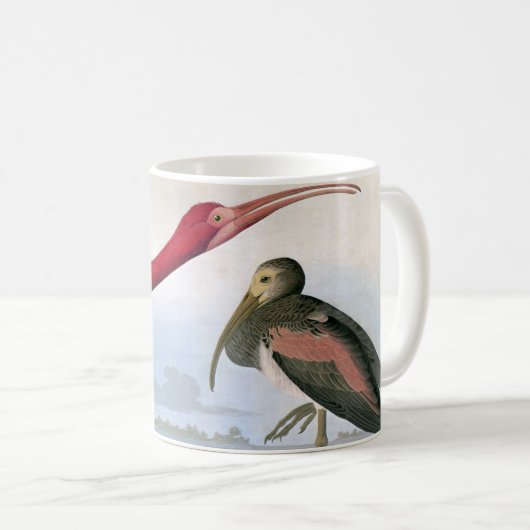 Mug Audubon : Écarlate IBIS (Devant droit)