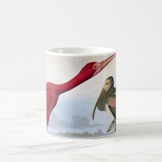 Mug Audubon : Écarlate IBIS (Centre)