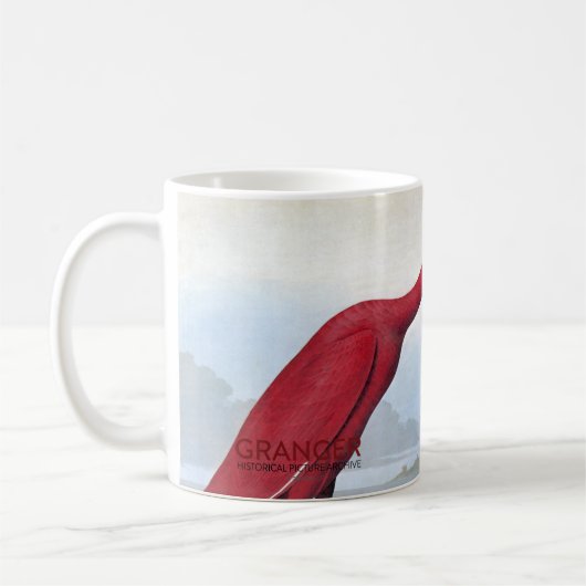 Mug Audubon : Écarlate IBIS (Gauche)